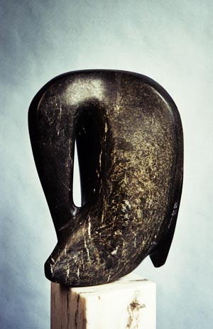 Kormoran